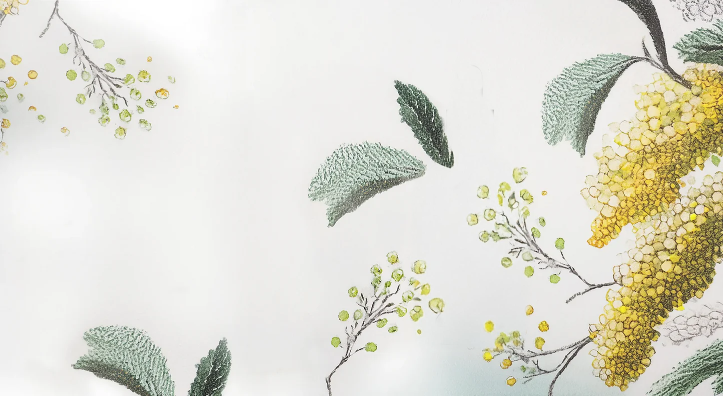 gardenia by dōsyna COLLECTIVE