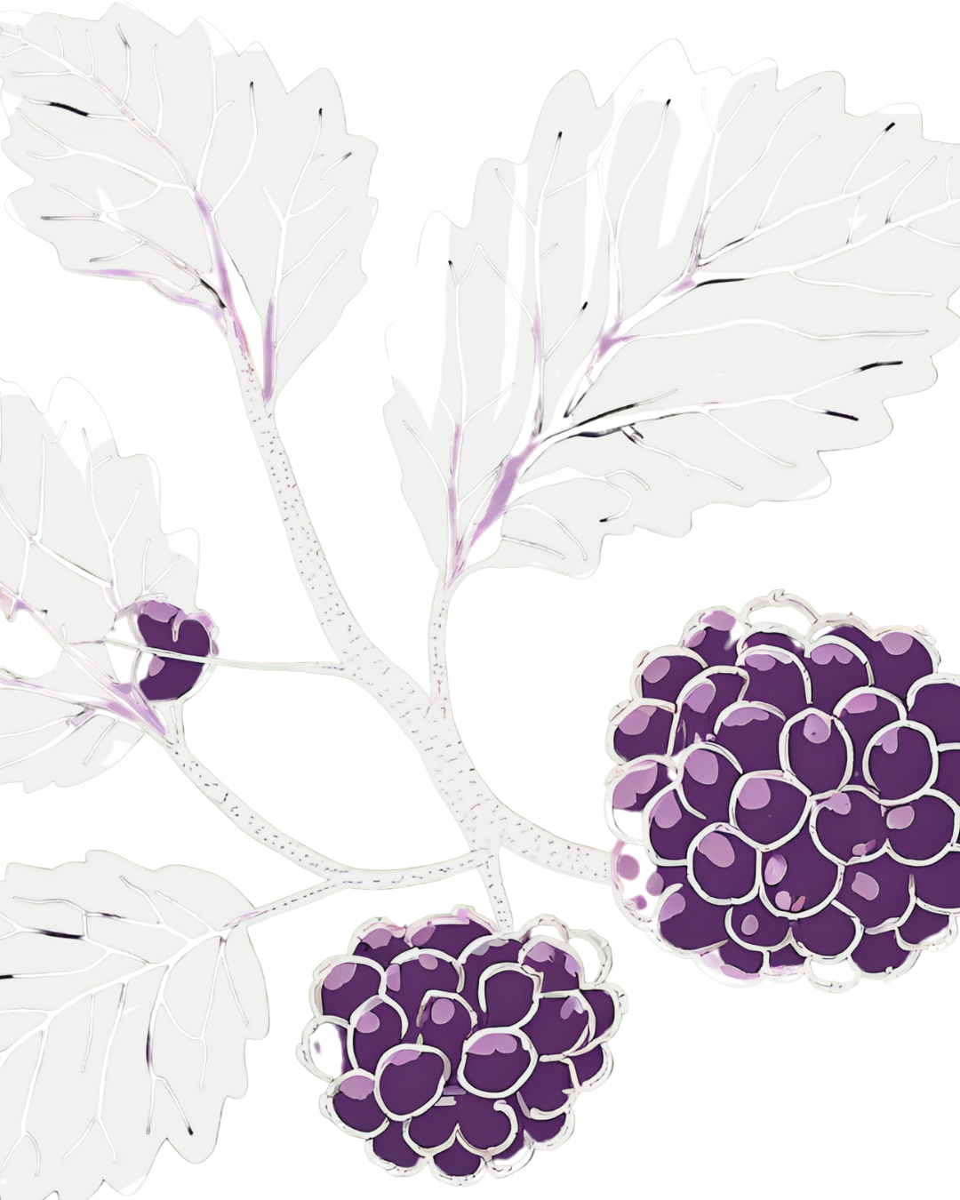 Sunberry Marketplace