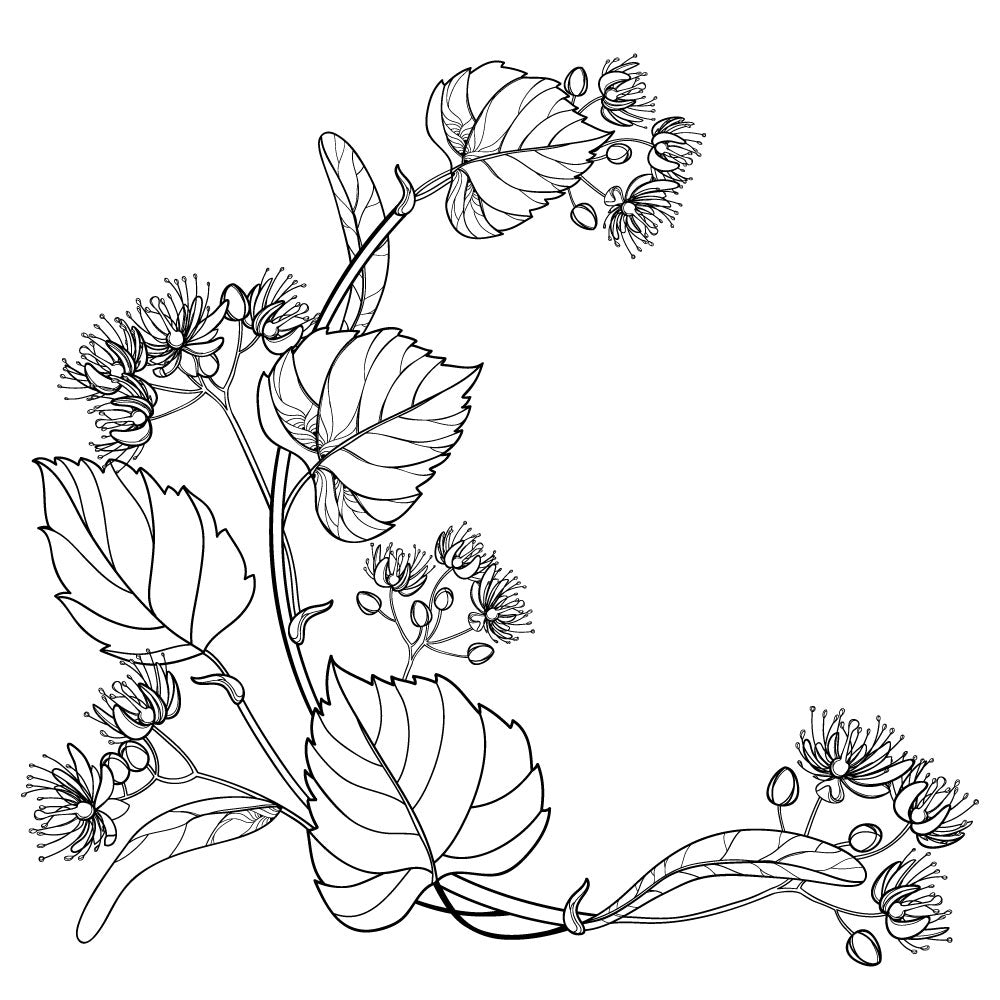 Home & Garden Collection